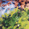 1999