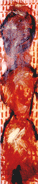 2000