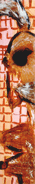 2000